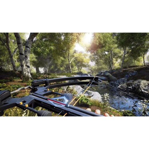 Hunting Simulator Nintendo Switch (Code in a box)