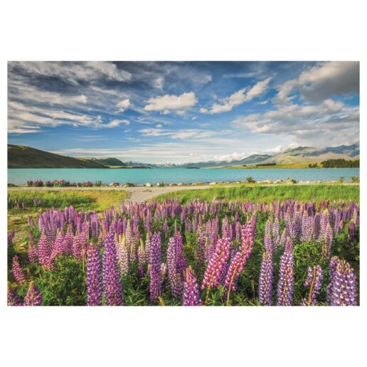 Lupins At Lake Tekapo puzzle 1500pcs