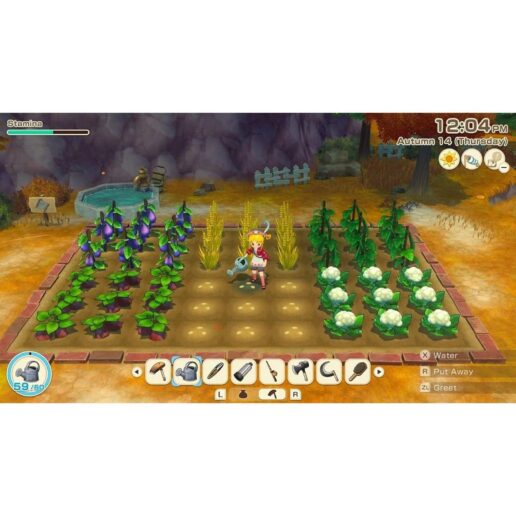 Story of Seasons Grand Bazaar Nintendo Switch 2