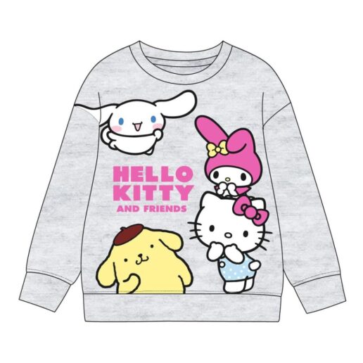 Hello Kitty and Friends hoodie