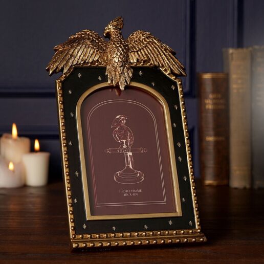 Harry Potter Fawkes photo frame