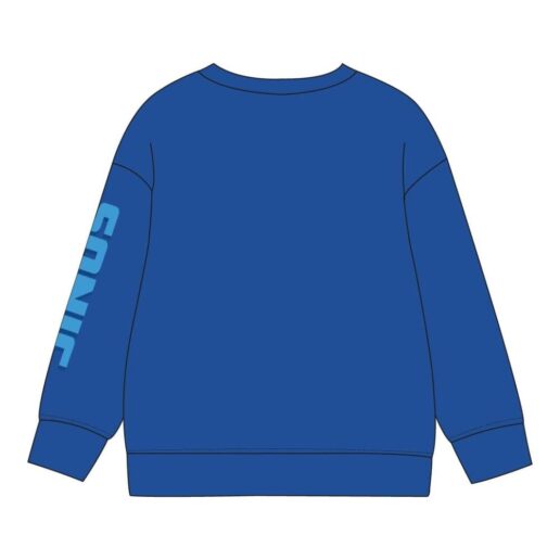 Sonic the Hedgehog hoodie