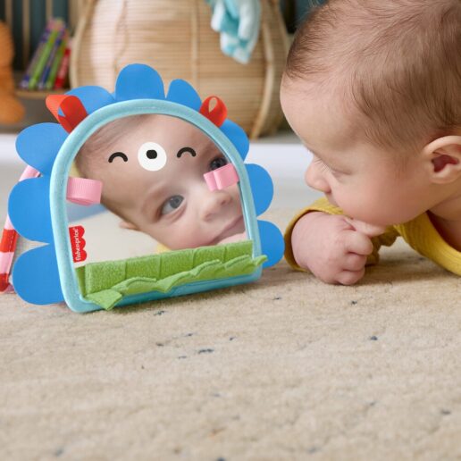Prop'n Go Portable Mirror