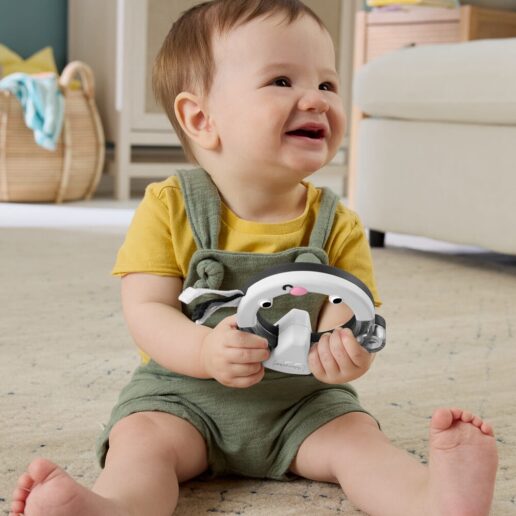 Sensory Ring assorted rattle