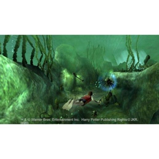 Harry Potter and the Goblet of Fire Playstation 2 PS2 (Begagnad)