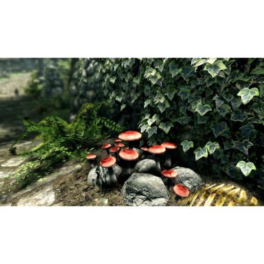 The Elder Scrolls V Skyrim Nintendo Switch