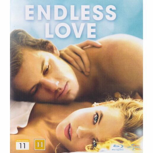 Endless Love Blu-Ray (Begagnad)