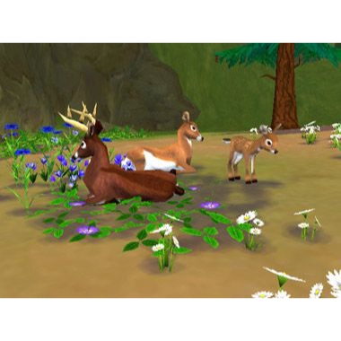 SimAnimals Nintendo Wii (Begagnad)
