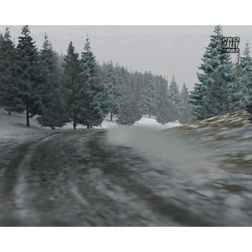 Pro Rally 2002 Playstation 2 PS2 (Begagnad)