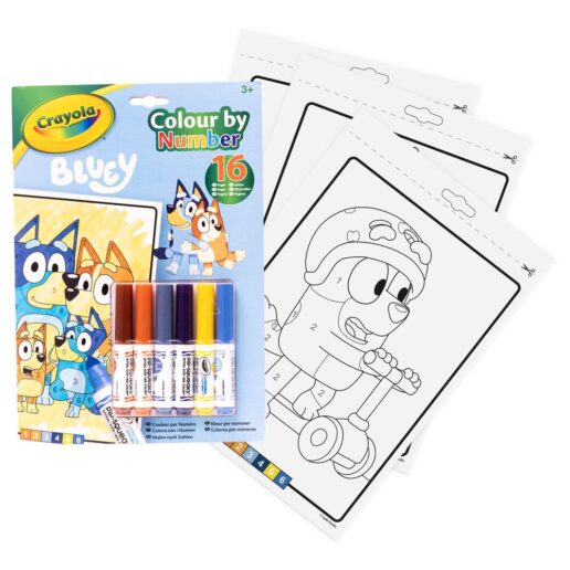 Bluey activity book