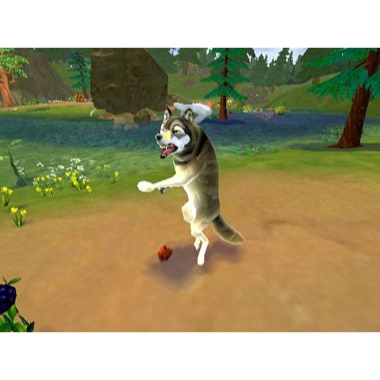 SimAnimals Nintendo Wii (Begagnad)