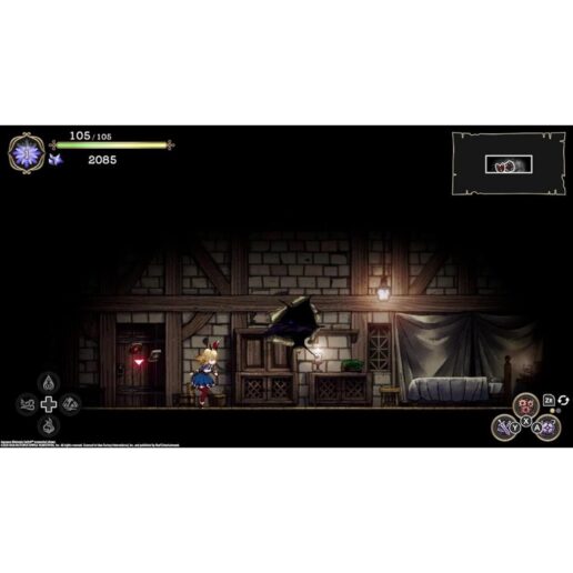 Ariana and the Elder Codex Nintendo Switch