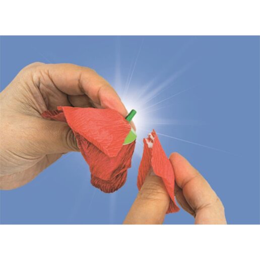 Idea Create Your Flowers Poppy Flower creator
