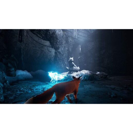Spirit of the North Playstation 4 PS4