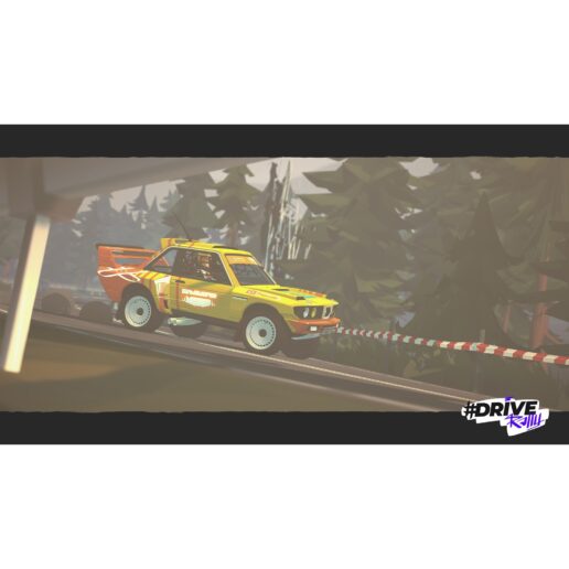 Drive Rally Nintendo Switch