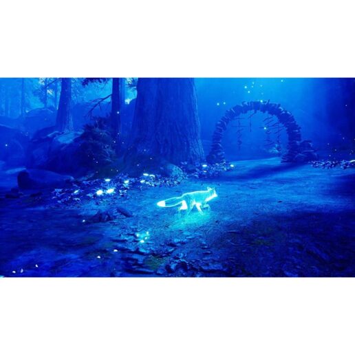 Spirit of the North Playstation 4 PS4
