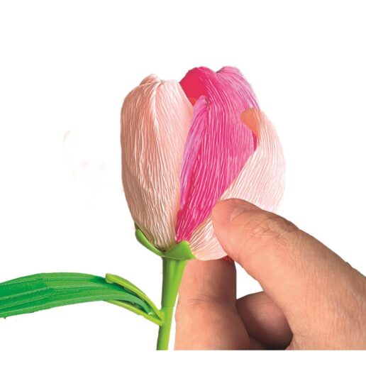 Idea Create Your Flowers Tulip Flower creator