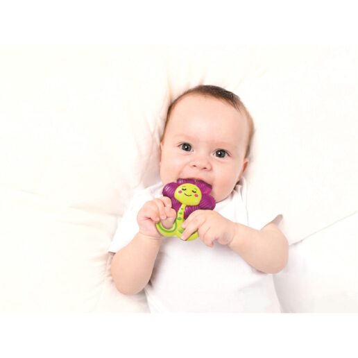 Flower refrigerated teether