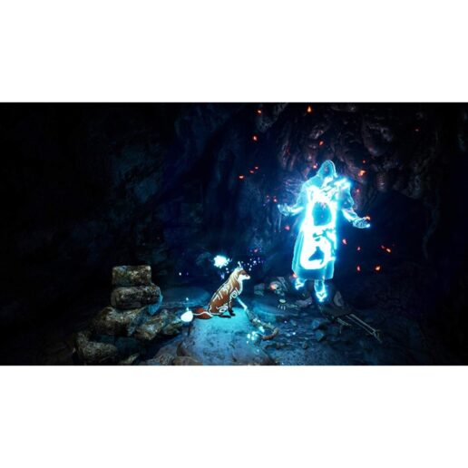 Spirit of the North Playstation 4 PS4