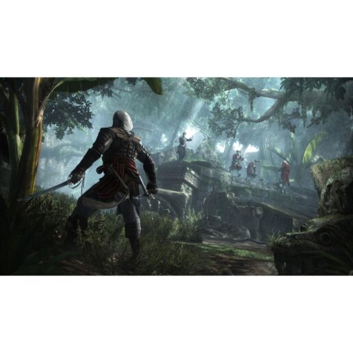 Assassins Creed IV Black Flag Nintendo Wii U Nordic (Begagnad)