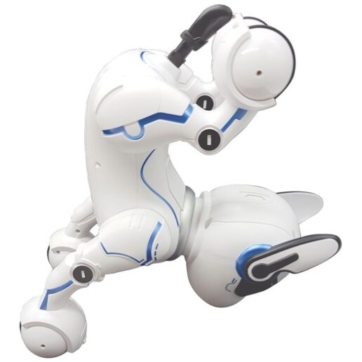 Programmable dog robot