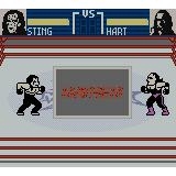 WCW Mayhem Gameboy Color (Begagnad)