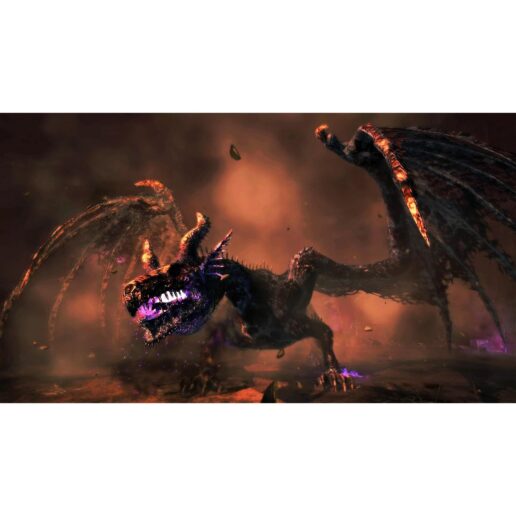 Dragons Dogma Dark Arisen Nintendo Switch
