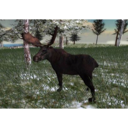 North American Hunting Extravaganza Nintendo Wii (Begagnad)