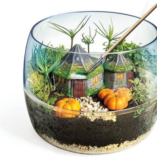 Harry Potter Terrarium
