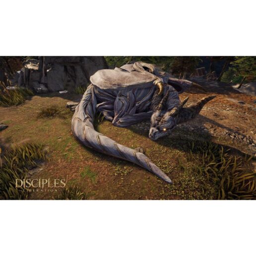 Disciples Liberation Playstation 4 PS4