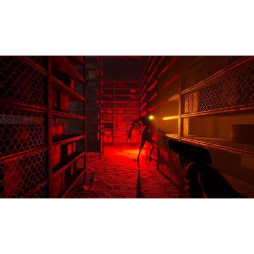 In Sound Mind Deluxe Edition Playstation 5 PS5 IMPORT
