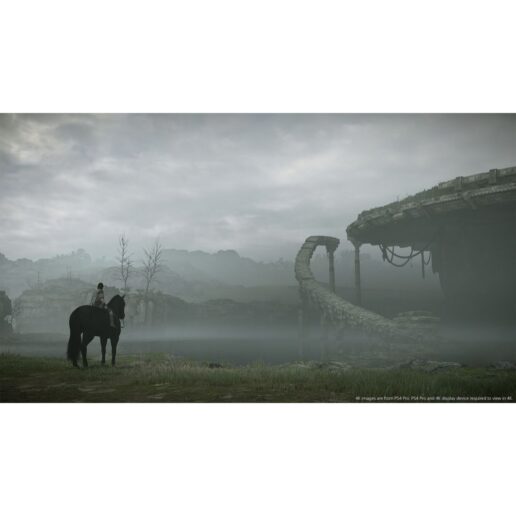 Shadow of the Colossus Playstation 4 PS4