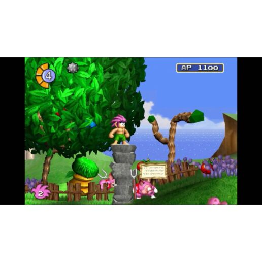 Tomba Special Edition Convention Exclusive Playstation 5 PS5 Limited Run IMPORT