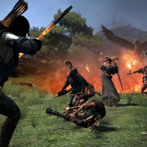 Dragons Dogma Playstation 3 PS3 IMPORT