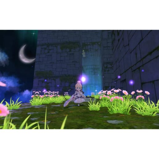 Forward to the Sky Playstation 5 PS5 IMPORT Multi-Language