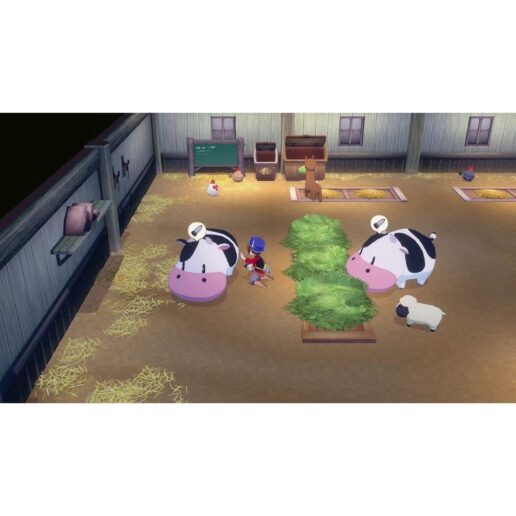 Story of Seasons Grand Bazaar Playstation 5 PS5