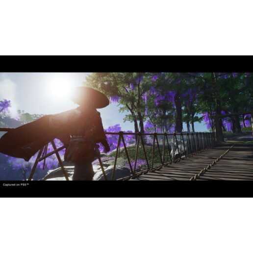 Ghost of Tsushima Directors Cut Playstation 5 PS5