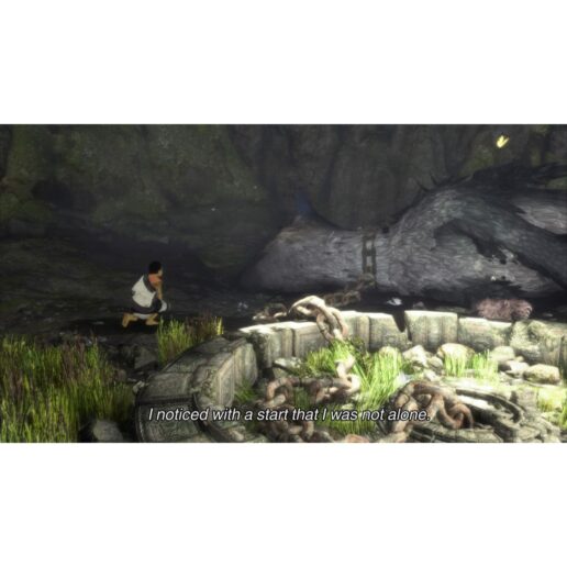 The Last Guardian Playstation 4 PS4