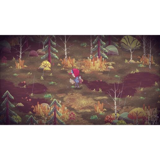 The Wild At Heart Playstation 4 PS4 EN FR