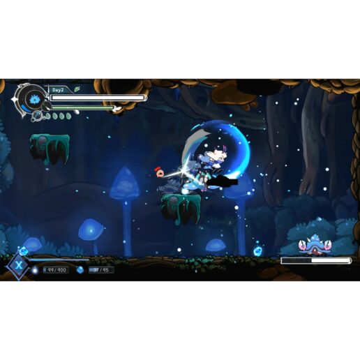 Dragon Loop Nintendo Switch