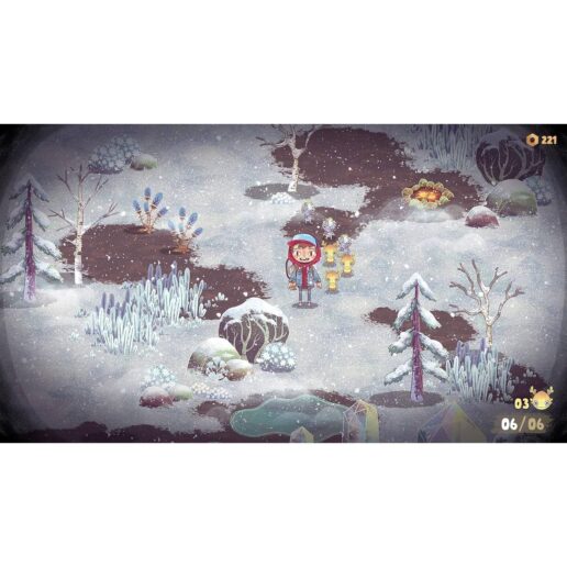 The Wild At Heart Playstation 4 PS4 EN FR