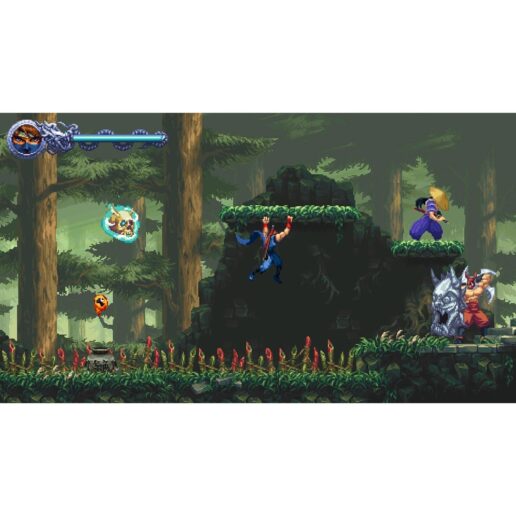 Ninja Gaiden Ragebound Nintendo Switch