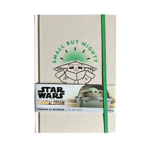 Star Wars Mandalorian diary